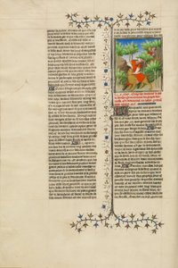 Sansone e il leone da Unbekannt Unbekannt